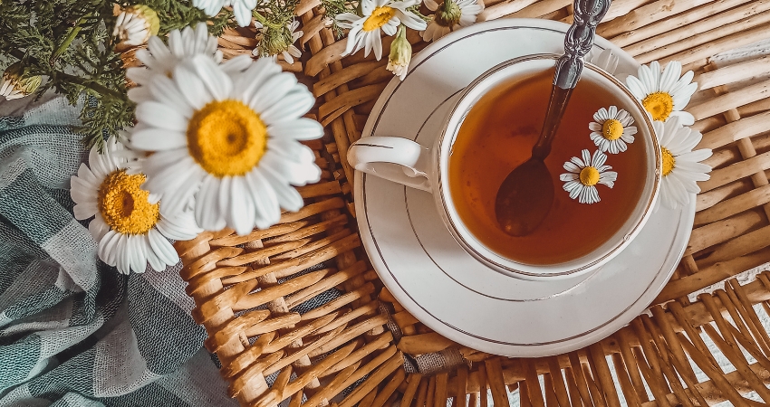 Traverser la périménopause en douceur : 5 plantes idéales pour t&rsquo;accompagner